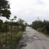 La piccola lingua di asfalto dissestato prosegue nell'agro tra Mungivacca e Japigia